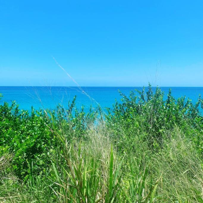 Epea Ocean View Top Victoria Exterior foto
